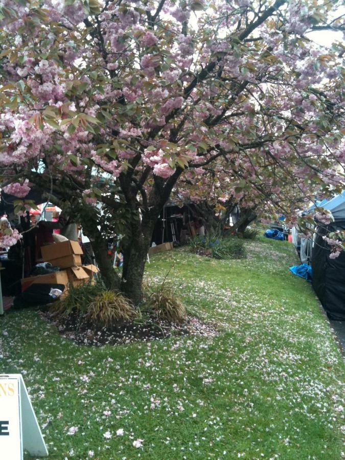 Ribbon Gum Lodge Katoomba Bagian luar foto