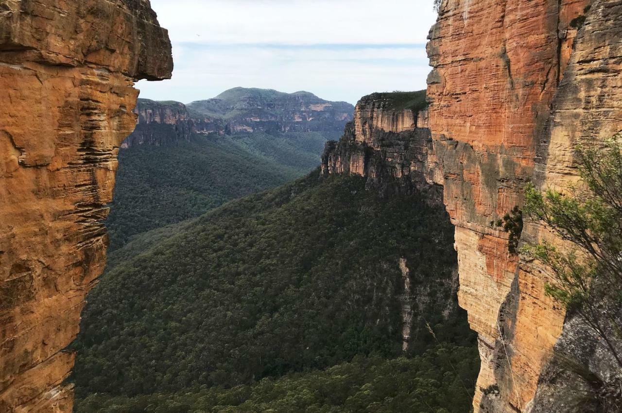 Ribbon Gum Lodge Katoomba Bagian luar foto